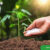 Biofertilizers-and-Sustainable-Soil-Management