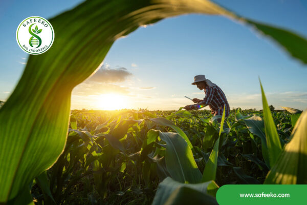 Biological-Innovation-for-Plantation-Agriculture