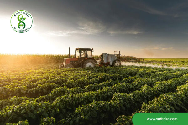 Build-a-More-Sustainable-Future-for-Your-Farm