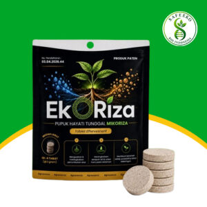 EkoRiza