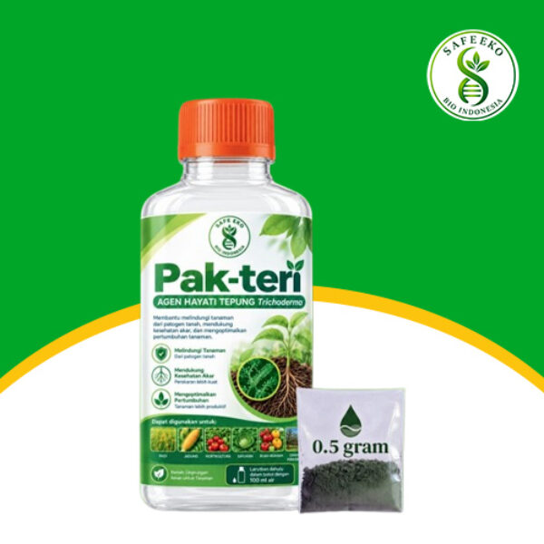 Pak-Teri