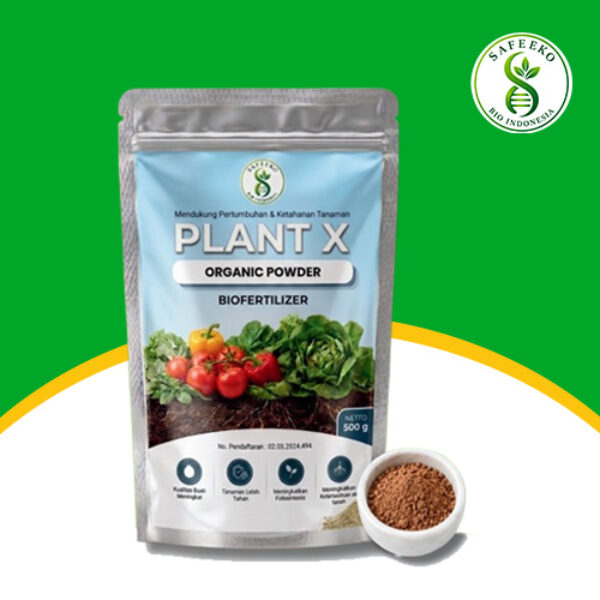 Plant X