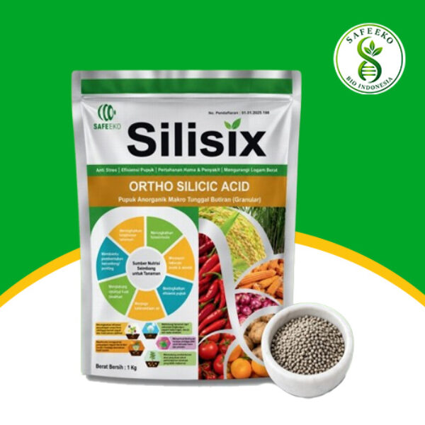 Silisix