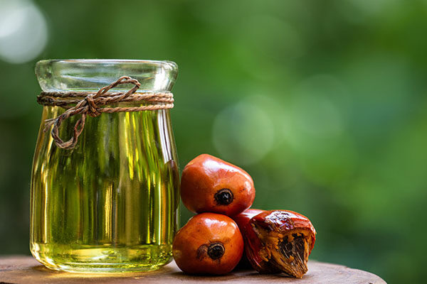 sector - Oil Palm